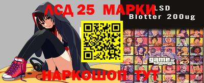 гашик Будённовск