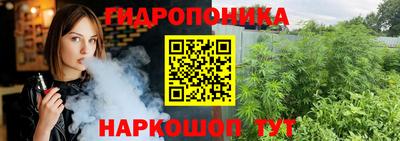 гашик Будённовск