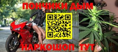гашик Будённовск