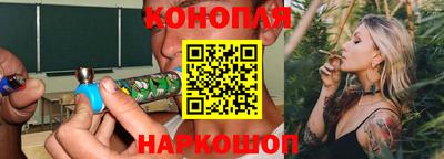 гашик Будённовск