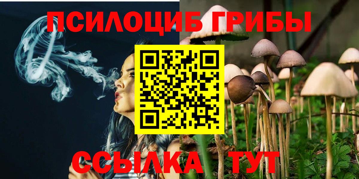 Псилоцибиновые грибы мухоморы Кузнецк