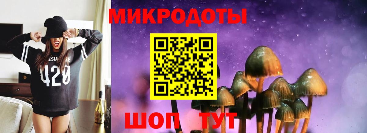 Кузнецк  Псилоцибиновые грибы Magic Shrooms  Псилоцибиновые грибы Cubensis  Вход с VPN 