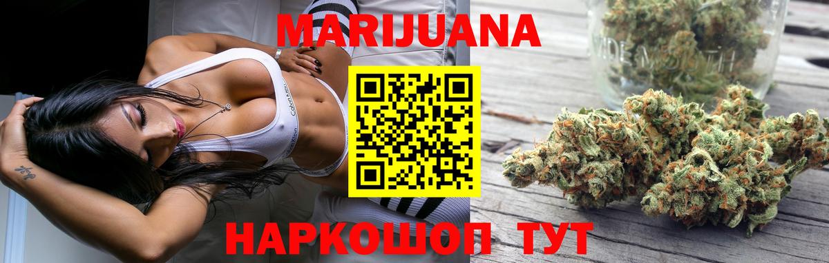 Каннабис индика Кузнецк